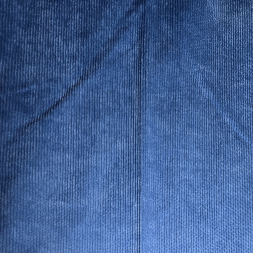 Alfred Dunner Womens Pants Powder Blue Corduroy Classic Fit Pull On Size 8P - Picture 13 of 16